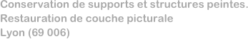 Conservation de supports et structures peintes. Restauration de couche picturale
Lyon (69 006)