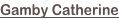 shapeimage_35_link_0